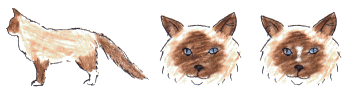 Mitted Mitted