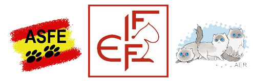 logos asfe fife y aer